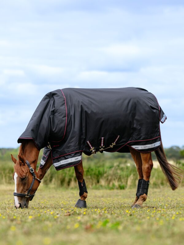 LeMieux Arika Storm-Tek Rug 350g in Black – view 3