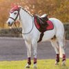 LeMieux Mini Suede Close Contact Square in Cranberry - view 1