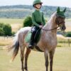 LeMieux Mini Suede Close Contact Square in Hunter Green - view 2