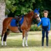 LeMieux Mini Suede Close Contact Square in Benetton Blue - view 2