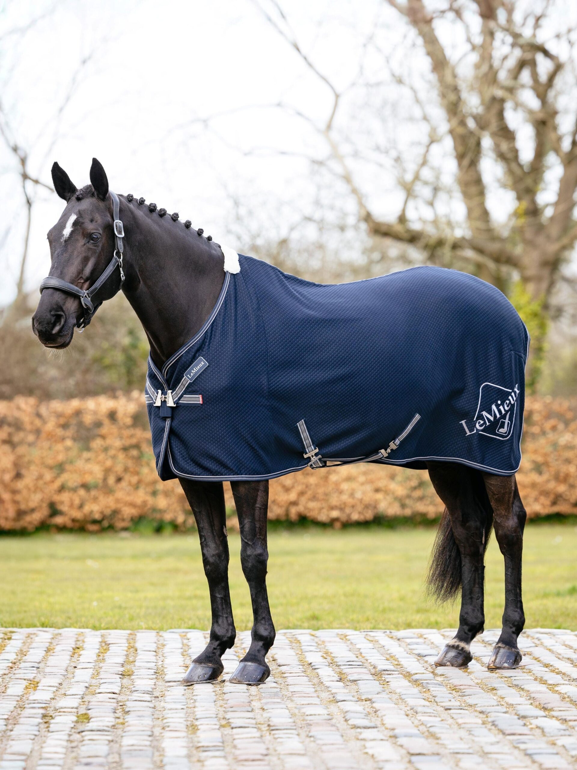 LeMieux Kudos Bamboo Cooler Rug in Navy – view 1