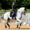LeMieux Suede Dressage Square in Black – view 2