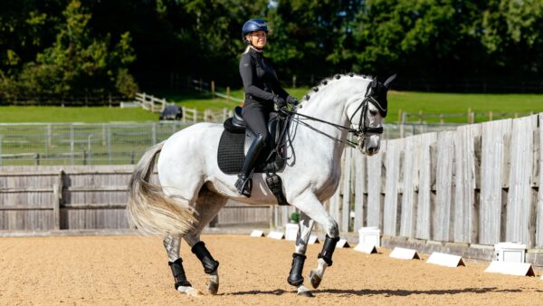 LeMieux Suede Dressage Square in Black – view 2