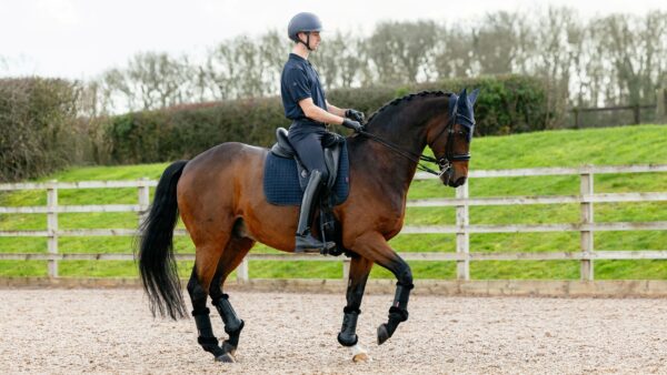 LeMieux Suede Dressage Square in Navy - view 1