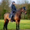 LeMieux Suede Dressage Square in Navy - view 3