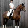 LeMieux Suede Dressage Square in White - view 3