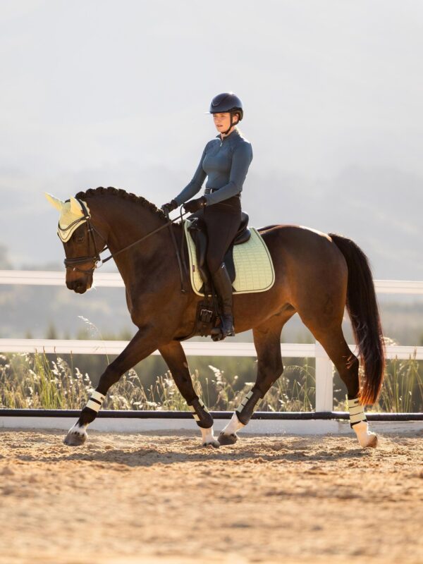 LeMieux Suede Dressage Square in Macaron - view 3