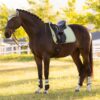 LeMieux Suede Dressage Square in Macaron - view 1