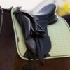 LeMieux Suede Dressage Square in Macaron - view 4