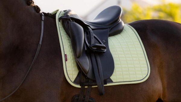 LeMieux Suede Dressage Square in Macaron - view 4