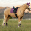 LeMieux Suede Dressage Square in Mallow - view 1