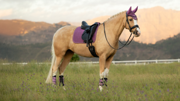 LeMieux Suede Dressage Square in Mallow - view 1