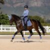 LeMieux Suede Dressage Square in Powder Blue - view 3