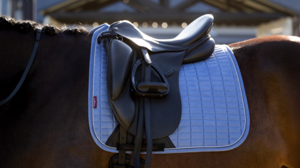 LeMieux Suede Dressage Square in Powder Blue - view 4