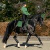 LeMieux Suede Dressage Square in Hunter Green - view 2