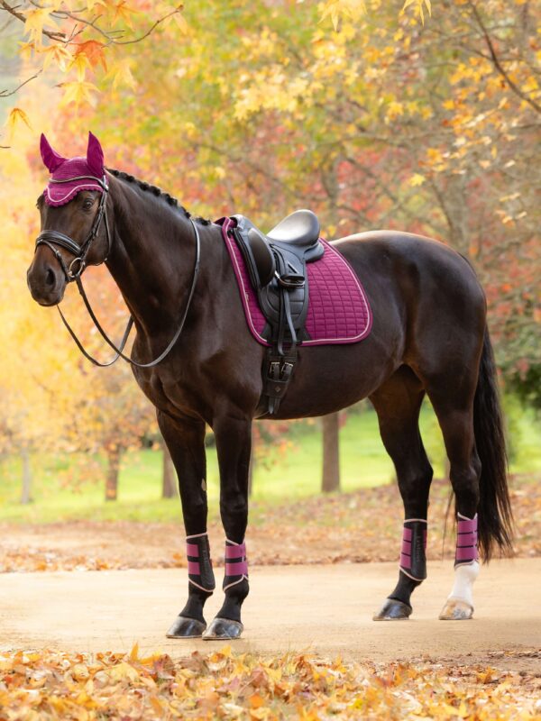 LeMieux Suede Dressage Square in Blackberry - view 2