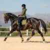 LeMieux Suede Dressage Square in Gooseberry - view 3