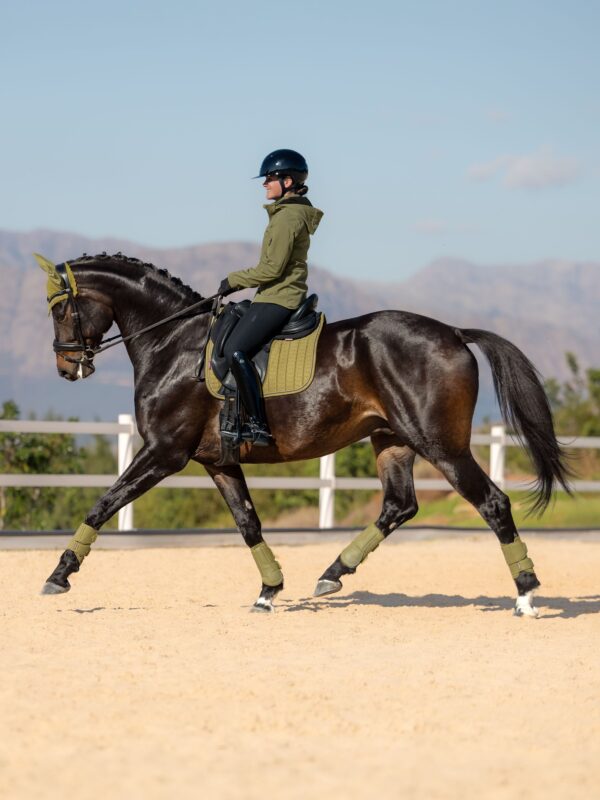LeMieux Suede Dressage Square in Gooseberry - view 3
