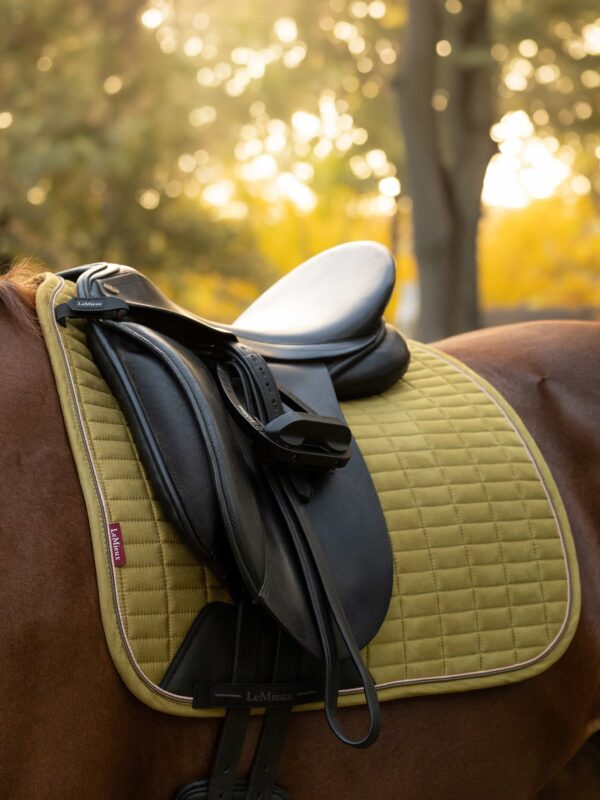 LeMieux Suede Dressage Square in Gooseberry - view 4