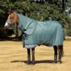 LeMieux Arika Ripstop 200g Turnout Rug in Aloe - view 2