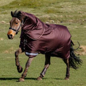 LeMieux Arika Ripstop 100g Turnout Rug in Bramble – view 1