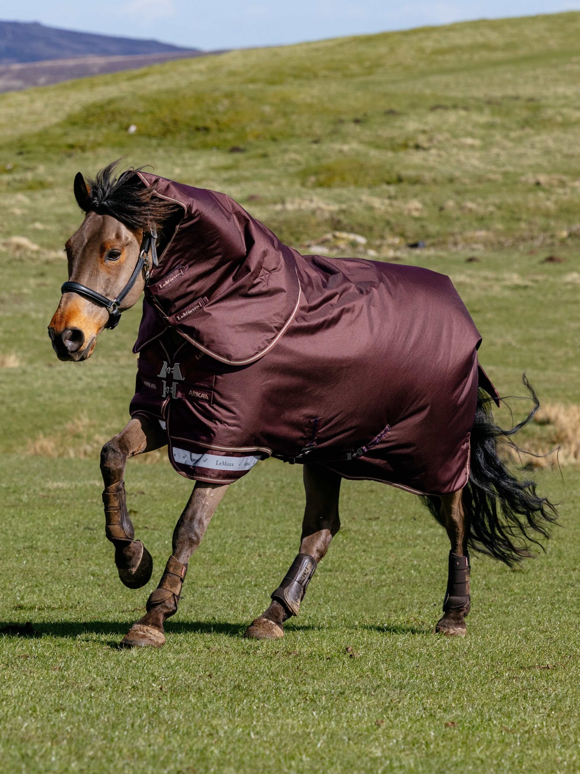 LeMieux Arika Ripstop 100g Turnout Rug in Bramble – view 1
