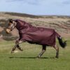 LeMieux Arika Ripstop 0g Turnout Rug in Bramble – view 2