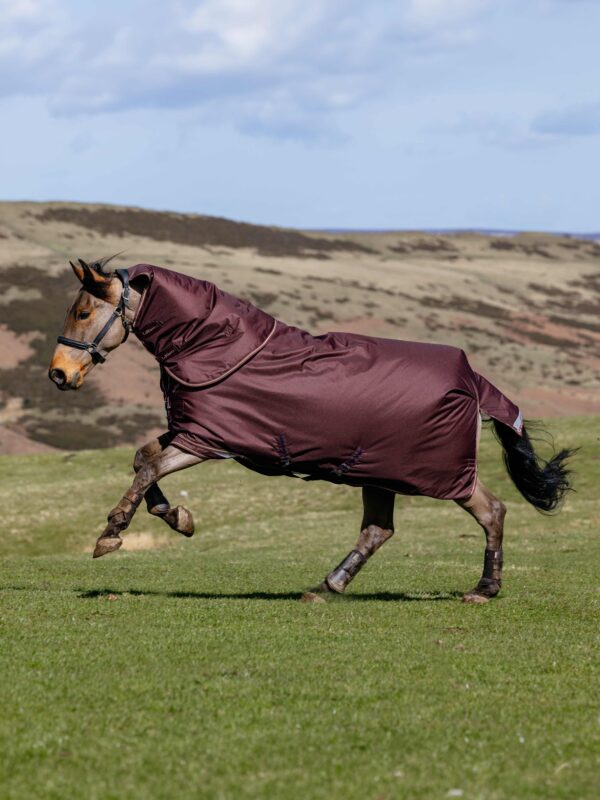 LeMieux Arika Ripstop 0g Turnout Rug in Bramble – view 2