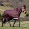 LeMieux Arika Ripstop 200g Turnout Rug in Bramble - view 1