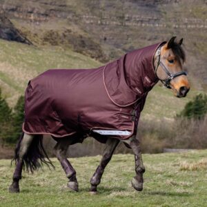 LeMieux Arika Ripstop 200g Turnout Rug in Bramble - view 1