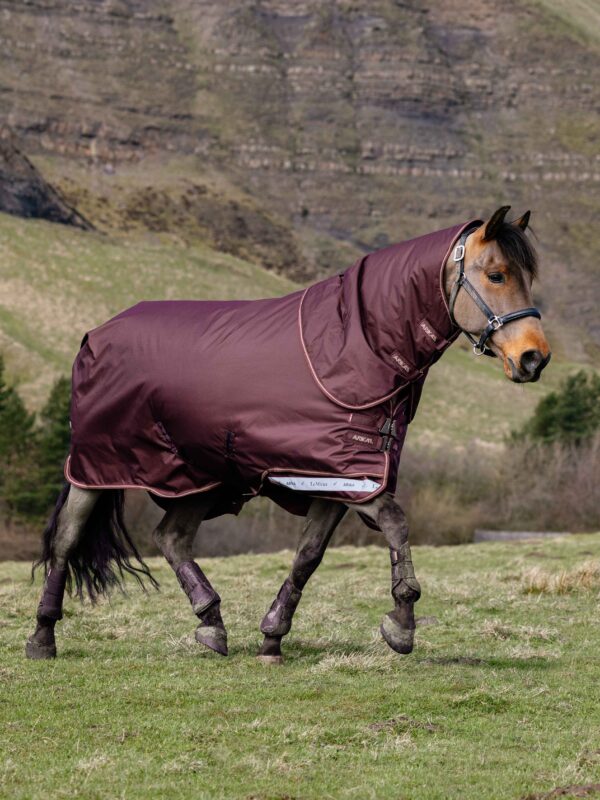 LeMieux Arika Ripstop 200g Turnout Rug in Bramble - view 1