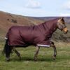 LeMieux Arika Ripstop 100g Turnout Rug in Bramble – view 2