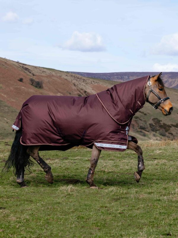 LeMieux Arika Ripstop 100g Turnout Rug in Bramble – view 2