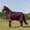 LeMieux Arika Ripstop 0g Turnout Rug in Bramble – view 1