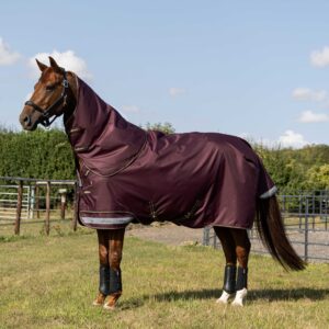 LeMieux Arika Ripstop 0g Turnout Rug in Bramble – view 1