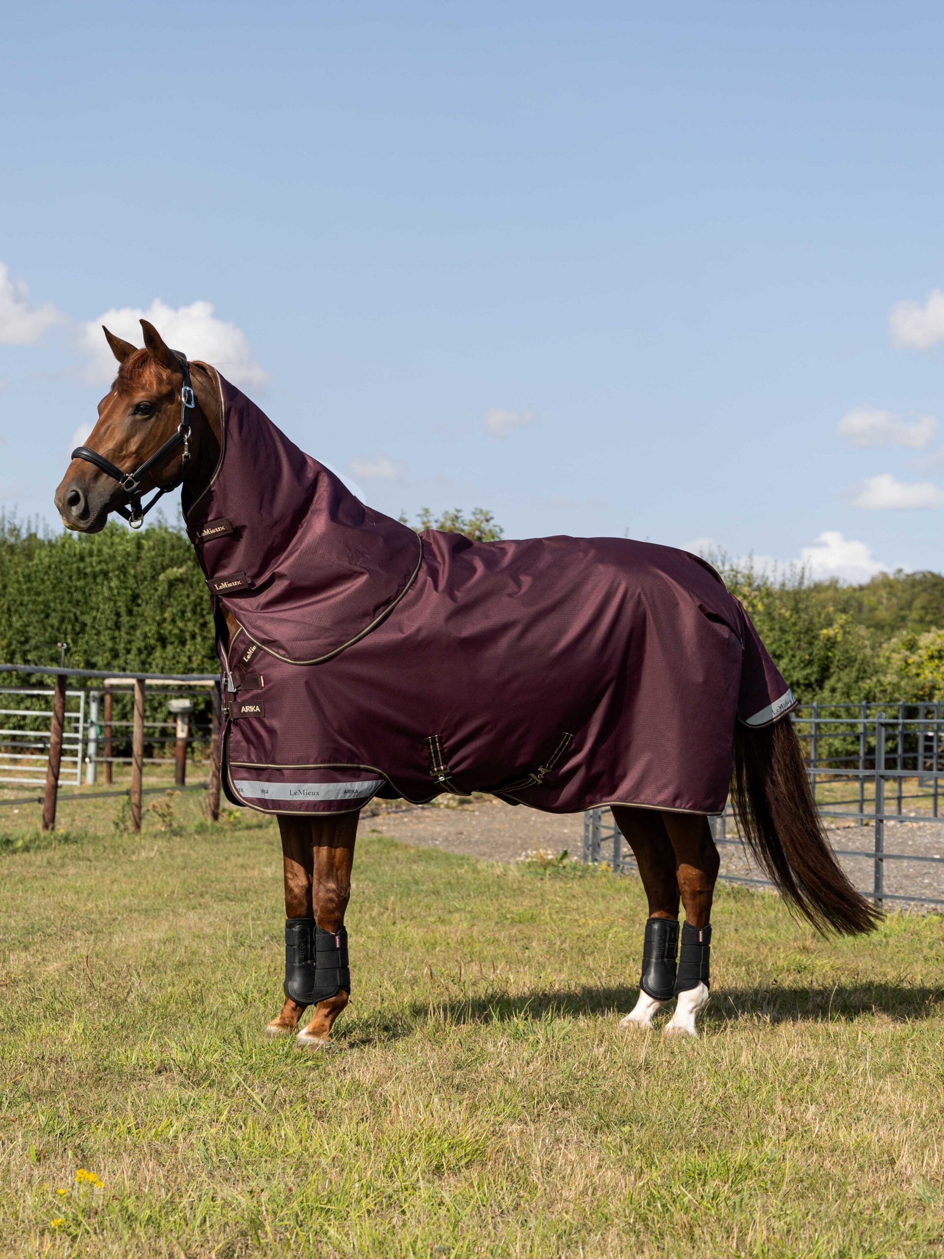 LeMieux Arika Ripstop 0g Turnout Rug in Bramble – view 1