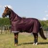 LeMieux Arika Ripstop 200g Turnout Rug in Bramble - view 2