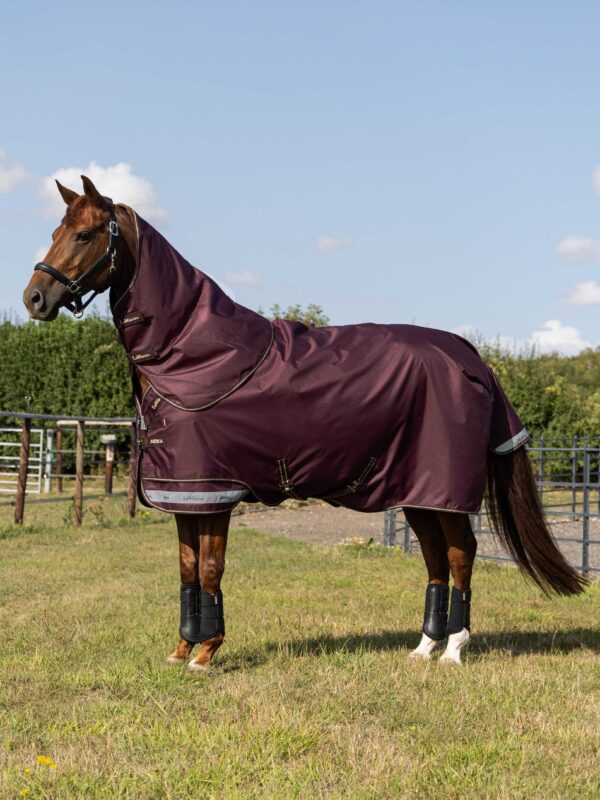 LeMieux Arika Ripstop 200g Turnout Rug in Bramble - view 2