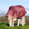 LeMieux Arika Star Turnout Rug 0g Spiced Earth in Spiced Earth - view 2
