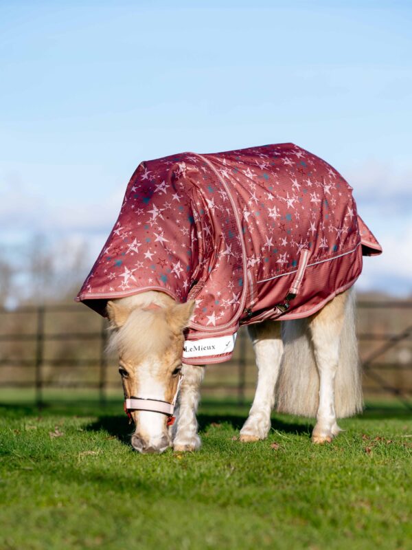 LeMieux Arika Star Turnout Rug 0g Spiced Earth in Spiced Earth - view 2