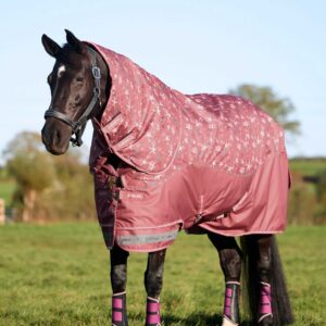 LeMieux Arika Star Turnout Rug 0g Spiced Earth in Spiced Earth - view 1