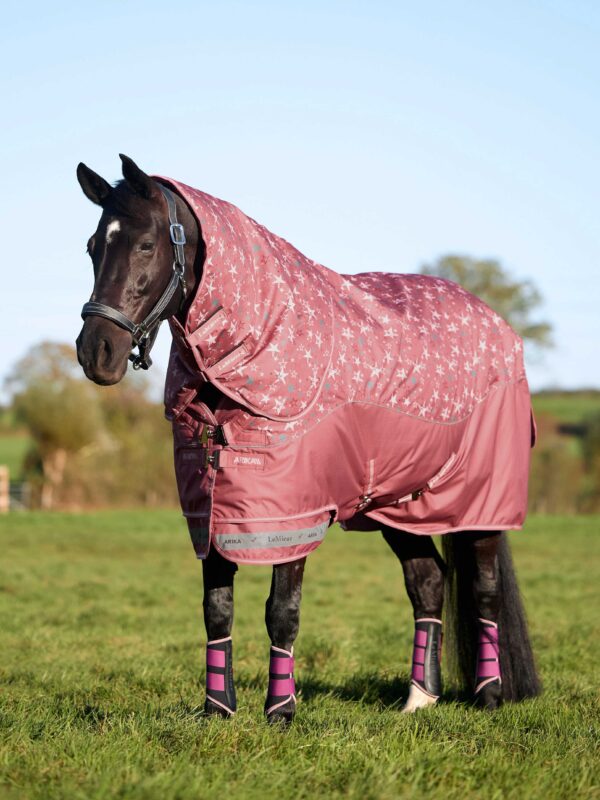 LeMieux Arika Star Turnout Rug 0g Spiced Earth in Spiced Earth - view 1