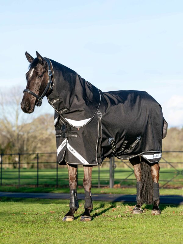 LeMieux Kudos Neo-Turnout Rug 100g in Black – view 1