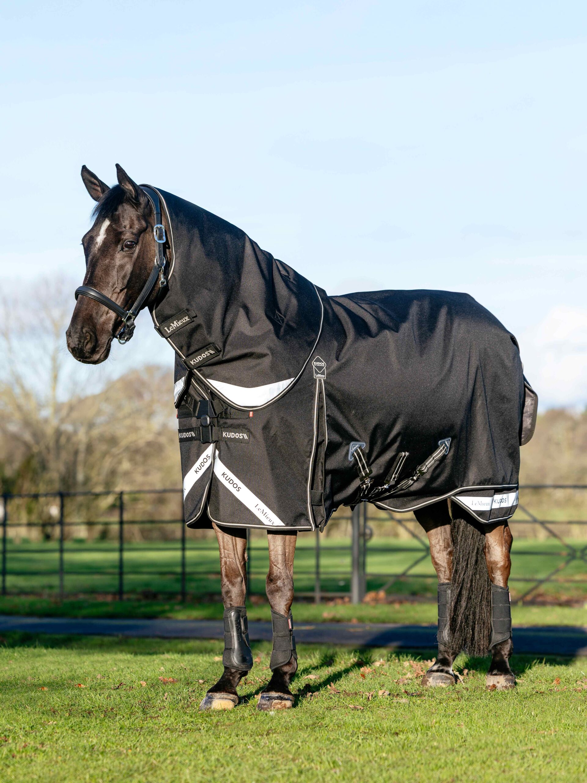 LeMieux Kudos Neo-Turnout Rug 100g in Black – view 1
