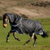 LeMieux Kudos Neo-Turnout Rug 100g in Black – view 4