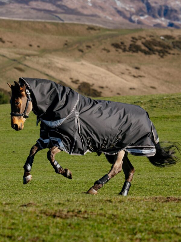 LeMieux Kudos Neo-Turnout Rug 100g in Black – view 4