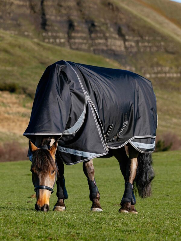LeMieux Kudos Neo-Turnout Rug 100g in Black – view 2