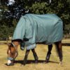 LeMieux Arika Ripstop 0g Turnout Rug in Aloe - view 2