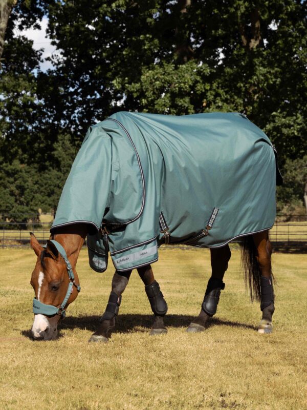 LeMieux Arika Ripstop 100g Turnout Rug in Aloe - view 1