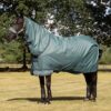 LeMieux Arika Ripstop 200g Turnout Rug in Aloe - view 1